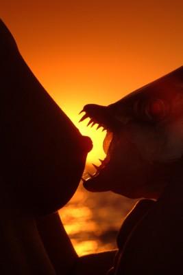 sexy fishing  - fish11-267x400.jpg